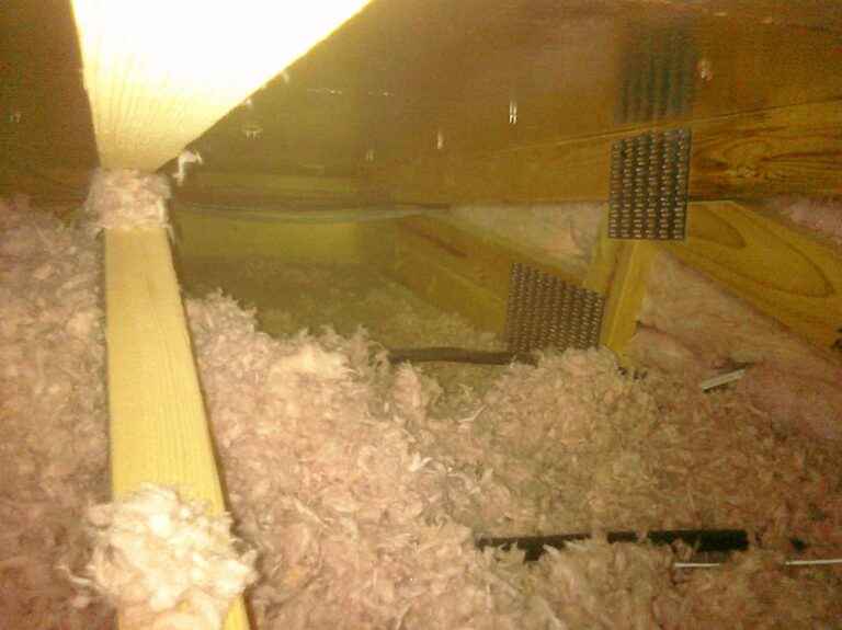 Who has a thermal camera I can borrow? Crawling to find missing insulation is too hard!